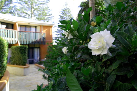 The Crest Byron Bay - Australia Accommodation 29