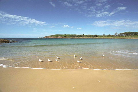 On The Beach Getaway - Australia Accommodation 12