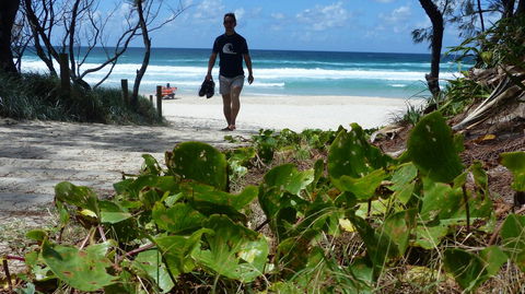 SaltBeach2302 - Australia Accommodation 15