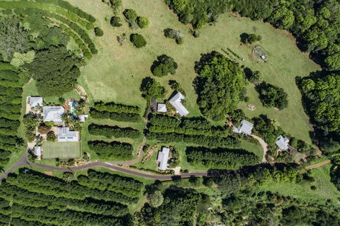 Byron Hinterland Villas - Australia Accommodation 17