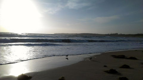 Sweet Spot Shellharbour - Australia Accommodation 14