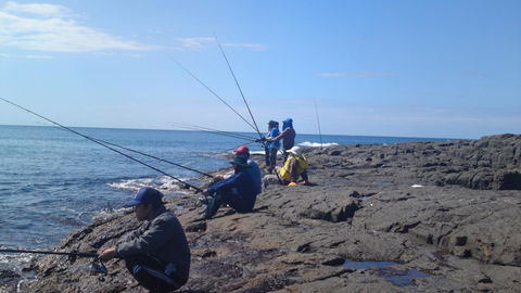Sweet Spot Shellharbour - Australia Accommodation 13