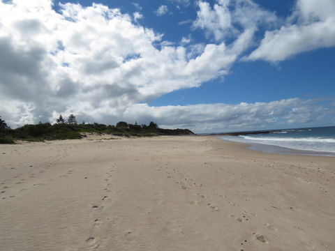 Sweet Spot Shellharbour - Australia Accommodation 15