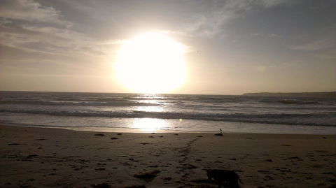 Sweet Spot Shellharbour - Australia Accommodation 16