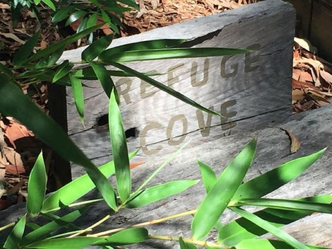 Refuge Cove On Pittwater - Australia Accommodation 12