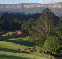 Amaroo Valley Springs - Australia Accommodation