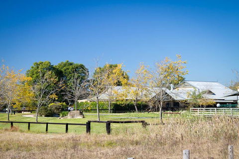 Potters Apartments - Australia Accommodation 26