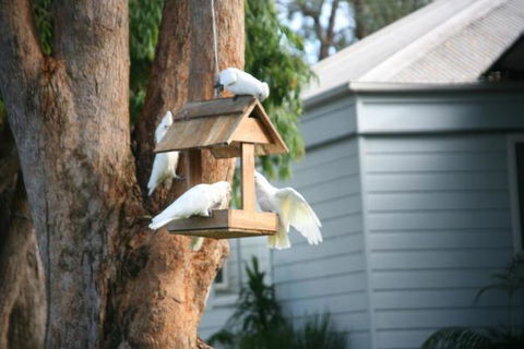 Huskisson Holiday Motel Cabins - Australia Accommodation 29