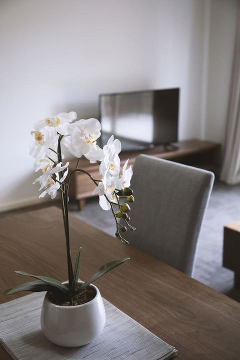Quest Wagga Wagga - Australia Accommodation 11