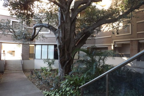 Fiori Apartments - Australia Accommodation 32