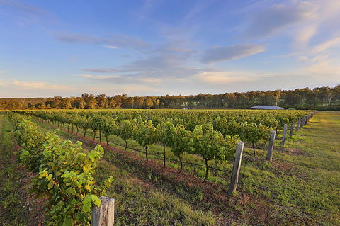 Ironstone Estate Lovedale - Australia Accommodation 31