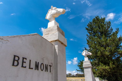 Belmont - Australia Accommodation 4