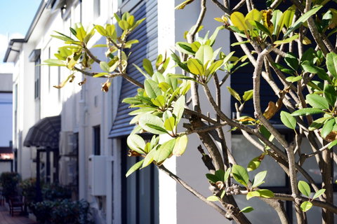 Avoca Randwick By Sydney Lodges - Australia Accommodation 34