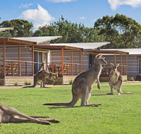 Discovery Parks  Pambula Beach - Australia Accommodation