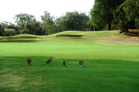 Mulwala Resort - Australia Accommodation 40