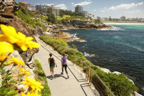 BONDI BEACH PRIME 1 Bedroom + Sunroom - Australia Accommodation 16