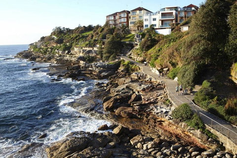 BONDI BEACH PRIME 1 Bedroom + Sunroom - Australia Accommodation 8