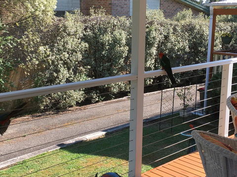 The Best Exotic Magnolia Cottage - Australia Accommodation 15