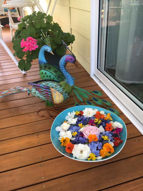 The Best Exotic Magnolia Cottage - Australia Accommodation 8