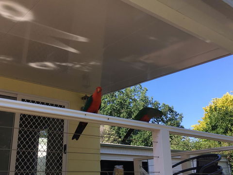 The Best Exotic Magnolia Cottage - Australia Accommodation 11