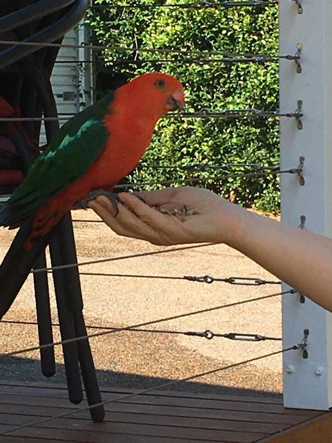 The Best Exotic Magnolia Cottage - Australia Accommodation 13