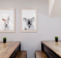 Mad Monkey Backpackers on Broadway - Australia Accommodation
