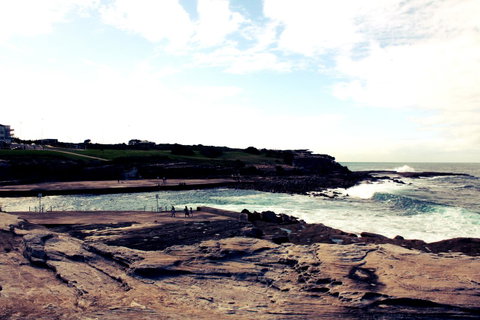Little Coogee Hotel - Australia Accommodation 41