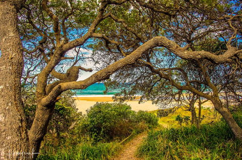 Valla's Beach House - Australia Accommodation 2