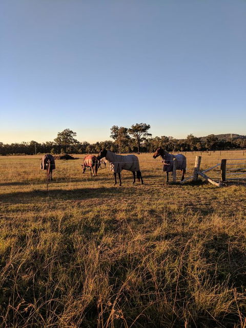 Madigan Wine Country Cottages - Australia Accommodation 8