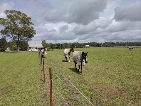 Madigan Wine Country Cottages - Australia Accommodation 9