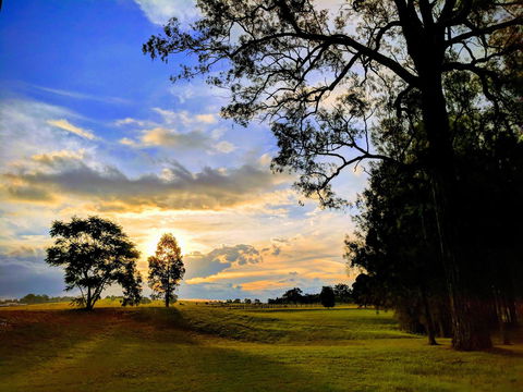 Madigan Wine Country Cottages - Australia Accommodation 11
