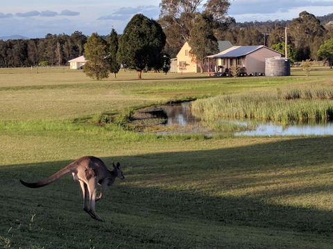 Madigan Wine Country Cottages - Australia Accommodation 6