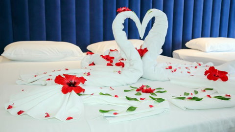 Luxury Home Hotel Next To Darling Harbour - Australia Accommodation 16