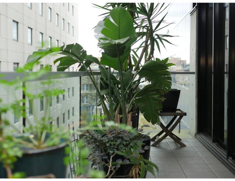 Urban Loft Close To Sydney Hot Spots - Australia Accommodation 11