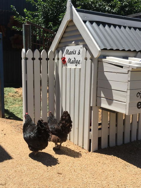 Thelma's Temora - Australia Accommodation 12