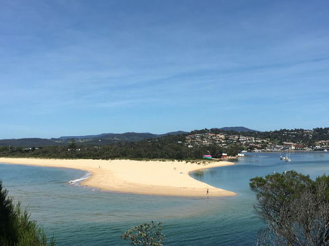 Black Dolphin Resort Motel & Apartments - Australia Accommodation 7