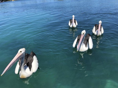Aquarius 9 - Australia Accommodation 4