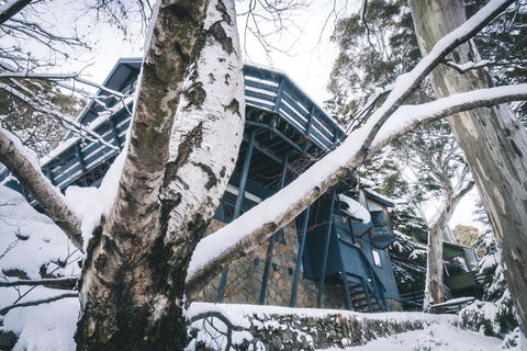 Pure Chalet Thredbo - Australia Accommodation 21