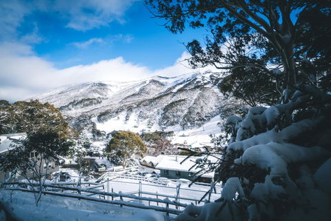Pure Chalet Thredbo - Australia Accommodation 31