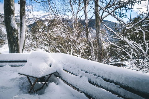 Pure Chalet Thredbo - Australia Accommodation 19