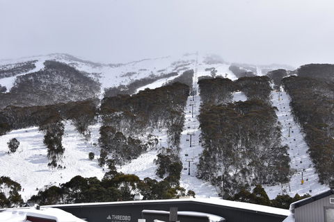 Pure Chalet Thredbo - Australia Accommodation 6