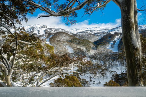 Pure Chalet Thredbo - Australia Accommodation 17