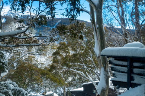 Pure Chalet Thredbo - Australia Accommodation 30