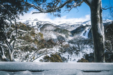 Pure Chalet Thredbo - Australia Accommodation 2