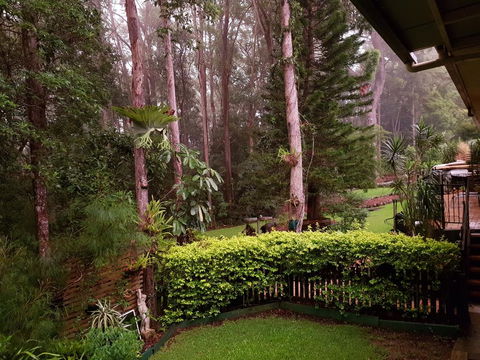 Buderim Forest Hideaway - Australia Accommodation 2