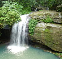 Buderim Forest Hideaway - Australia Accommodation