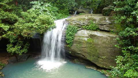 Buderim Forest Hideaway - Australia Accommodation 0