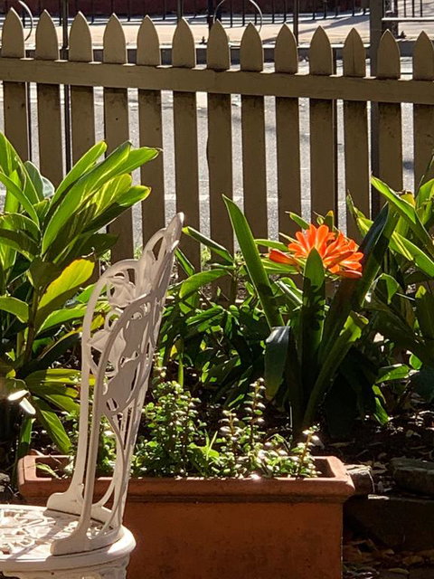 Burwood Bed And Breakfast - Australia Accommodation 3