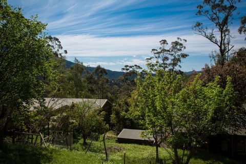 Buttercup Hill - Australia Accommodation 2
