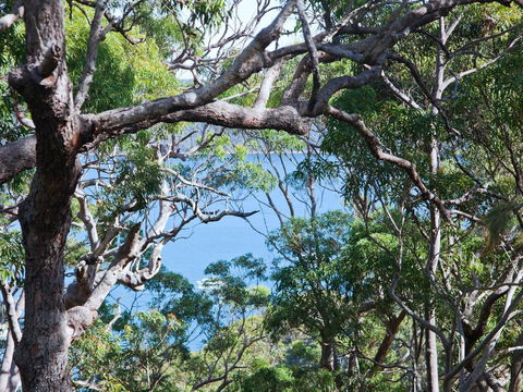 Bynya - 100m To Jonahs! - Australia Accommodation 1